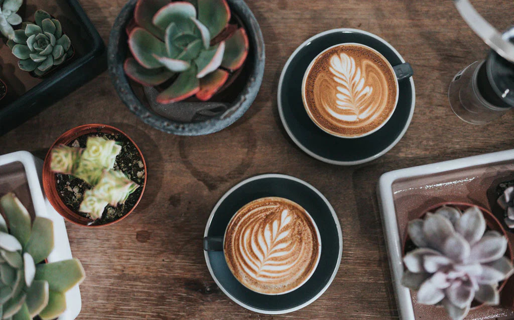 10 Steps From Seed to Cup: Unveiling the Journey of Your Coffee